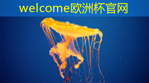 European Cup:酒业智能物流输送系统设计 European Cup:酒业智能物流输送系统设计