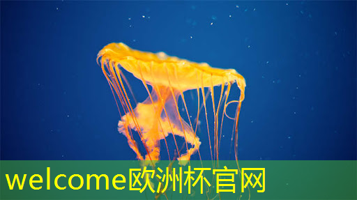 欧洲杯官网:革命性创新!智慧商显制造工厂改变行业格局 欧洲杯官网:革命性创新!智慧商显制造工厂改变行业格局