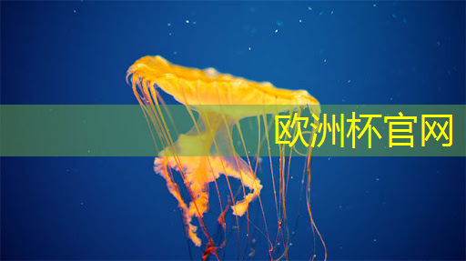 欧洲杯官网:青岛城市管理执法队伍智慧城管 欧洲杯官网:青岛城市管理执法队伍智慧城管