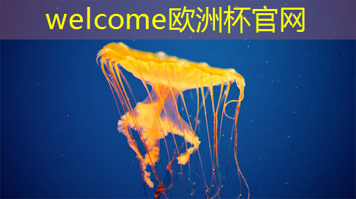 welcome欧洲杯官网:沈阳应该是智慧城市嘛 welcome欧洲杯官网:沈阳应该是智慧城市嘛