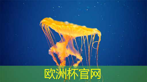 欧洲杯官网:未来已至,双投智慧投影仪引领家庭娱乐革命! 欧洲杯官网:未来已至,双投智慧投影仪引领家庭娱乐革命!