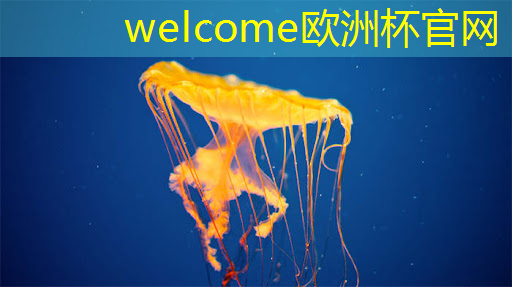 welcome欧洲杯官网:智能化物流施工方案 welcome欧洲杯官网:智能化物流施工方案
