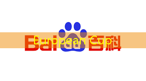 European Cup:智慧城市有什么意义和价值 European Cup:智慧城市有什么意义和价值